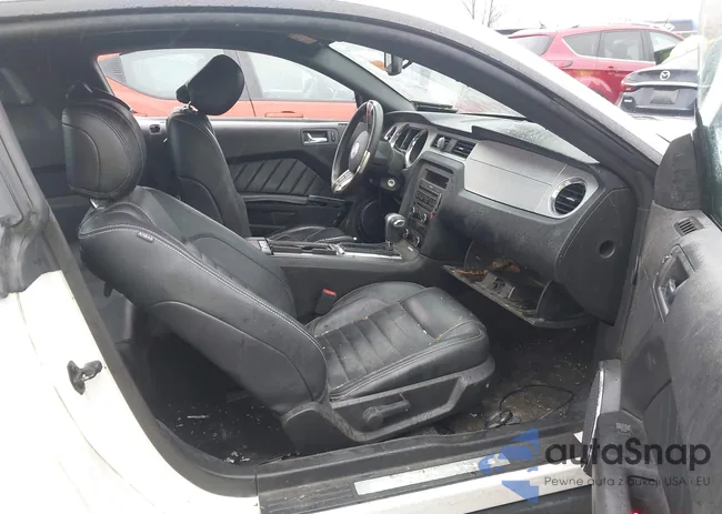 1ZVBP8AM4C5253489: 43903436