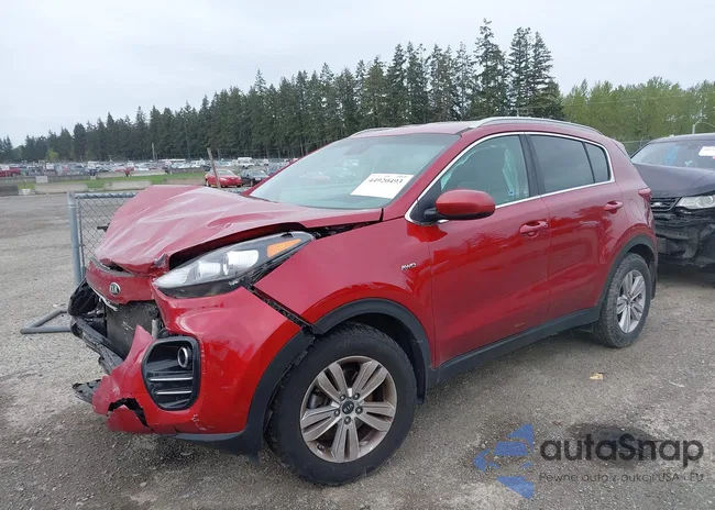 KNDPMCAC6J7362565: 44920493