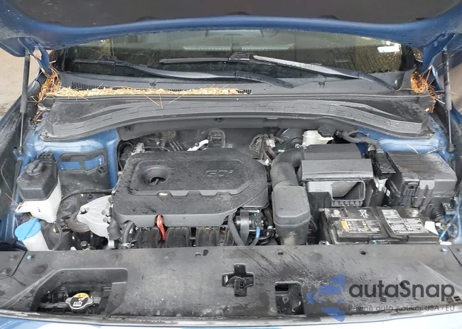 5NMS2CAD9LH299675: 44503834