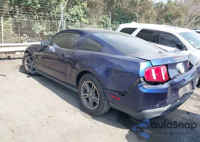 1ZVBP8AM9C5282728: 44504142