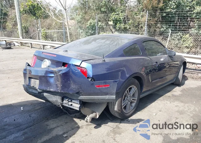 1ZVBP8AM9C5282728: 44504142