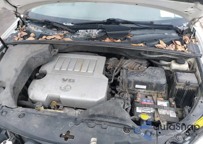 2T2HK31U78C085836: 44504231