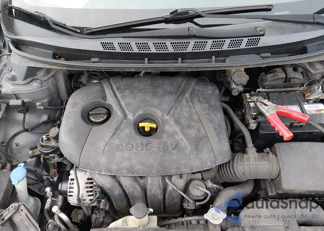 5NPDH4AE6DH421399: 44503251