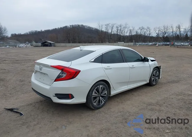 19XFC1F35GE031383: 44503386