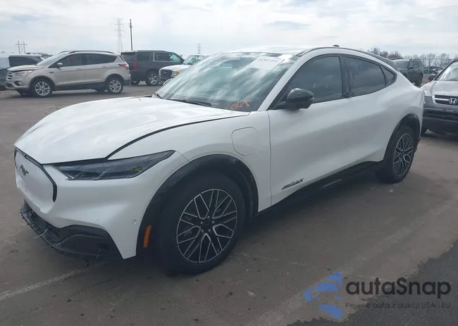 3FMTK3SU4RMA04082: 44503395