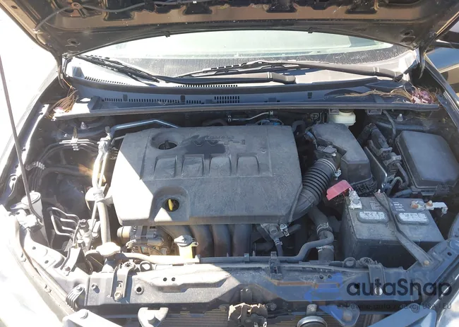 5YFBURHE5GP527050: 44503545