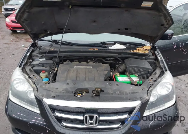 5FNRL38785B095529: 44503628