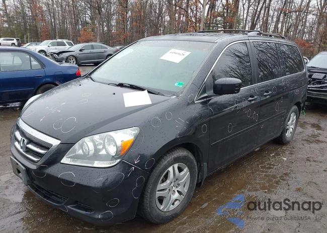 5FNRL38785B095529: 44503628