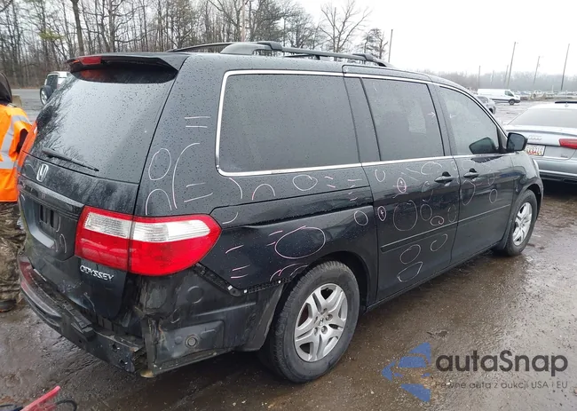 5FNRL38785B095529: 44503628