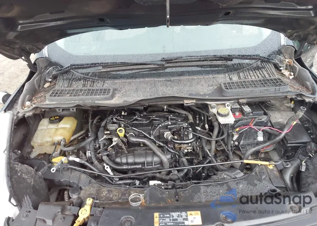 1FMCU0GX0EUD63074: 44504830