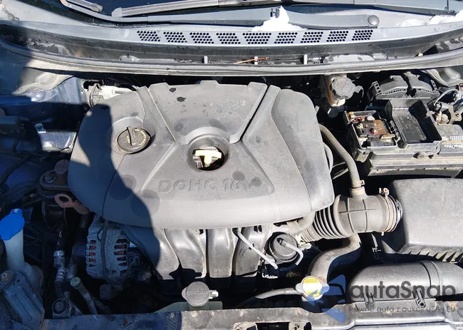 5NPDH4AE9DH182429: 44505021