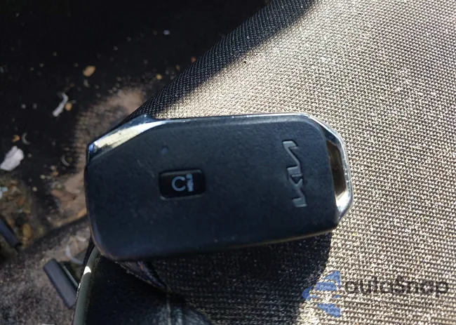 3KPF54AD0PE599794: 44505124