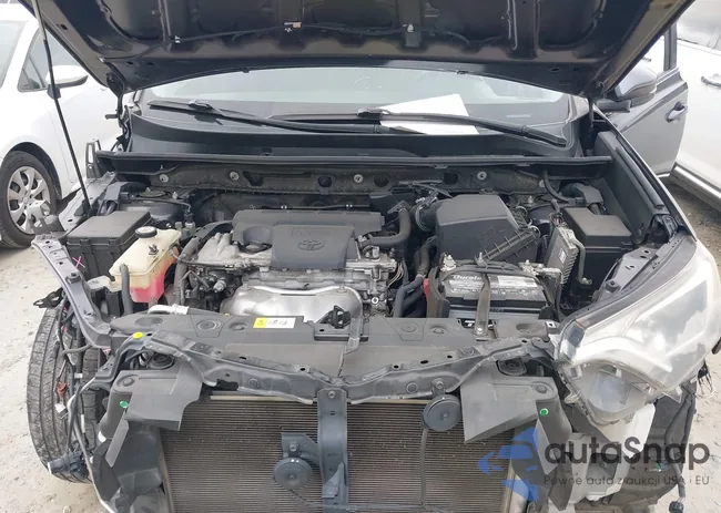 JTMWFREV4HJ705553: 44506114