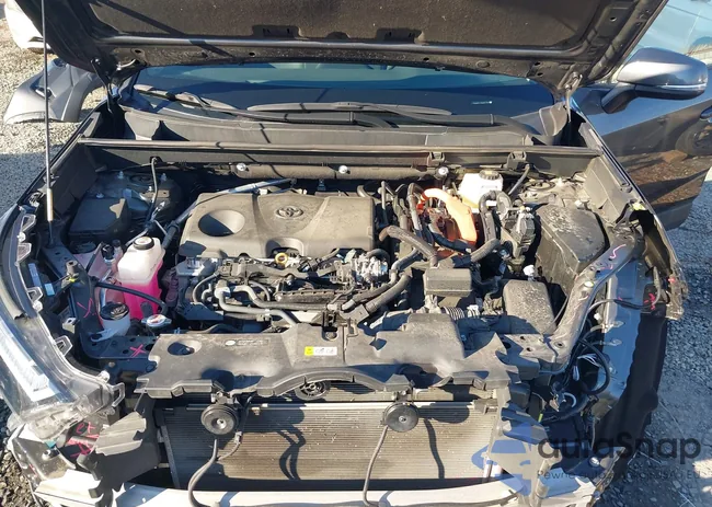 2T3B6RFV1RW054284: 44505490