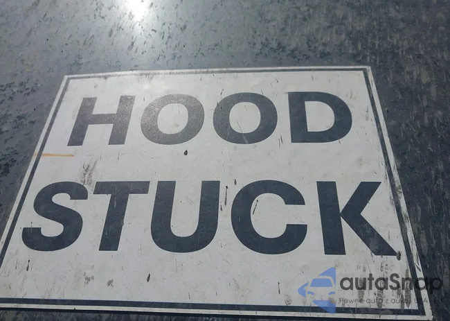 3GSDL43N48S548910: 44505625