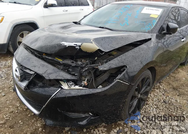 1N4AA6APXHC365544: 44506906