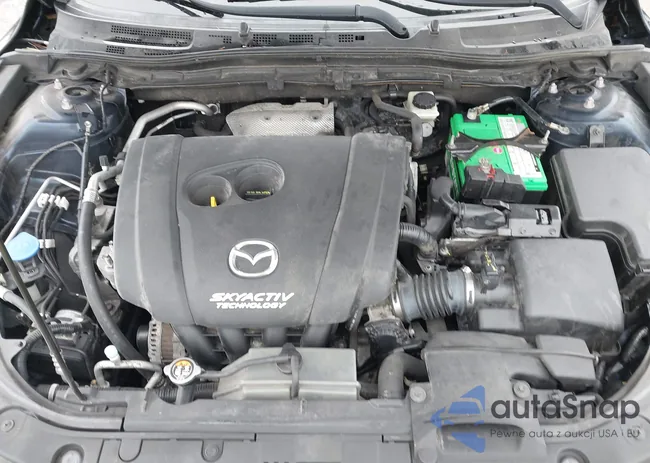 3MZBM1K79FM184676: 44507166