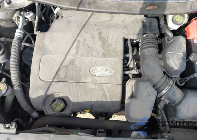 1FM5K8D81DGC22831: 44506321