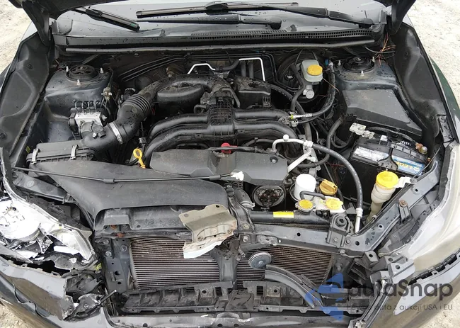 JF2GPAGC2DH868137: 44507864