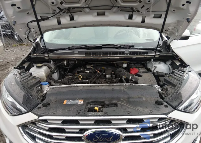 2FMPK3K97LBA03661: 44508039