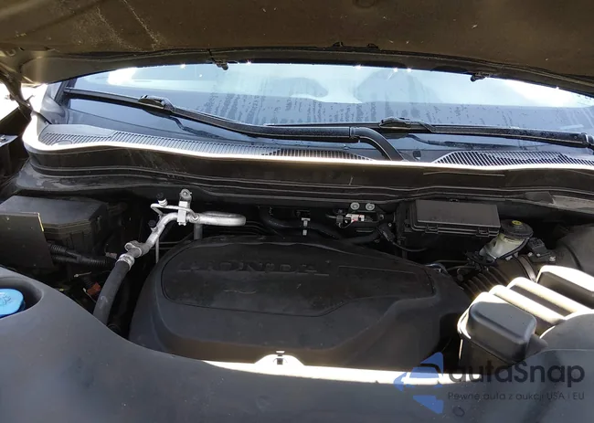 5FNYF8H90MB036541: 44508752