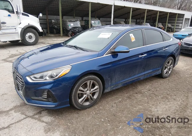 5NPE34AF2JH609618: 44509731