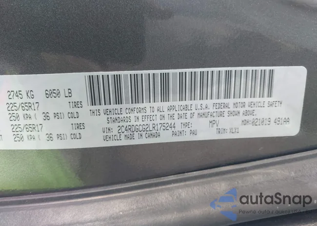 2C4RDGCG2LR175244: 44510849