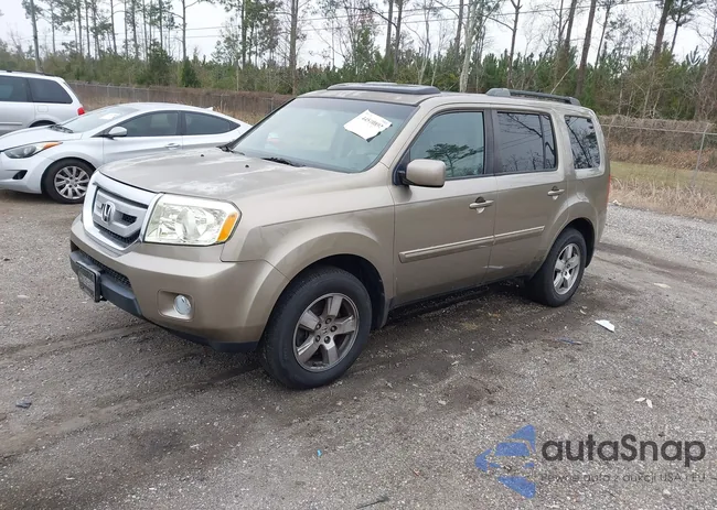 5FNYF3H55BB043417: 44510892