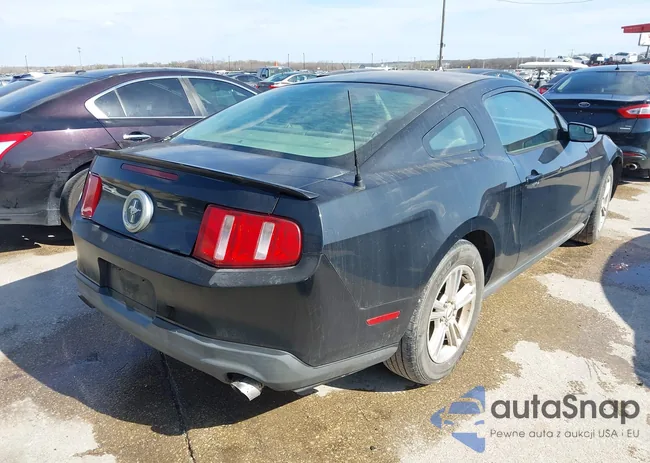 1ZVBP8AM3B5143838: 44511128