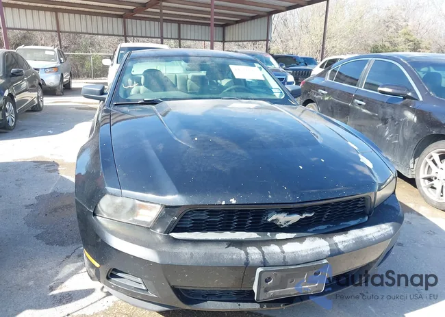 1ZVBP8AM3B5143838: 44511128