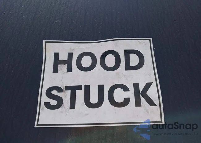 7SAYGDED9RF120320: 44511208