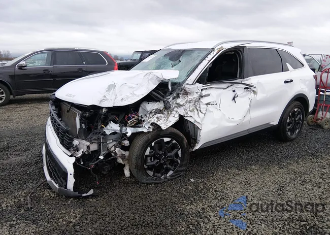 5XYRLDJC9RG262914: 44510448