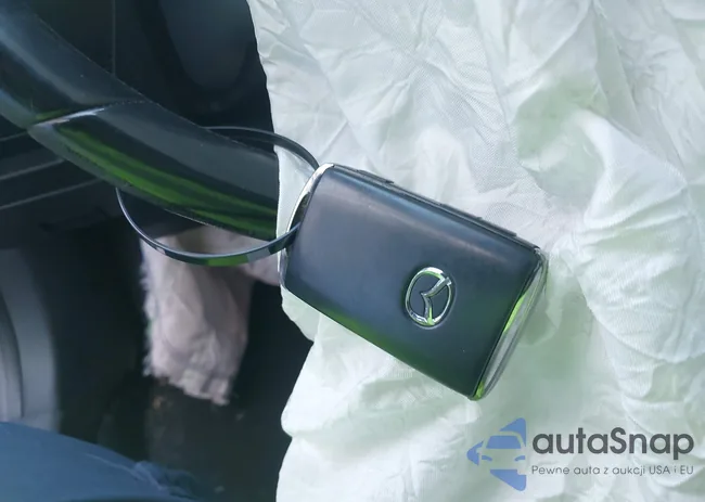 JM1BPAKM4P1623216: 44510482