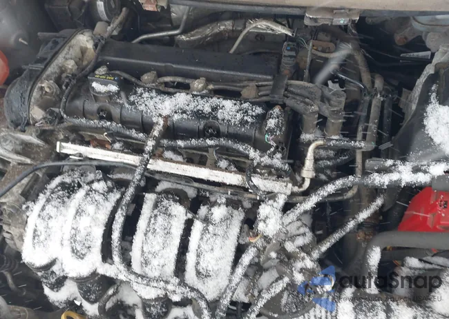 3FADP4TJ2EM165275: 44511819