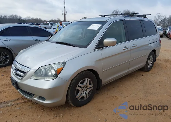 5FNRL38687B441895: 44513081