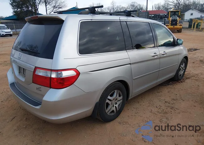 5FNRL38687B441895: 44513081