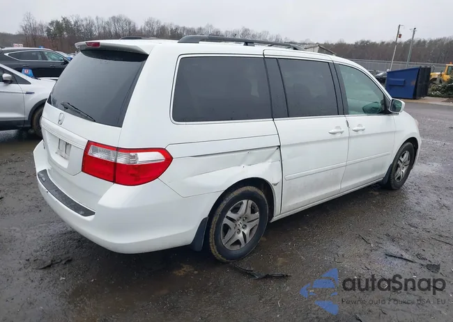 5FNRL38617B404607: 44513217