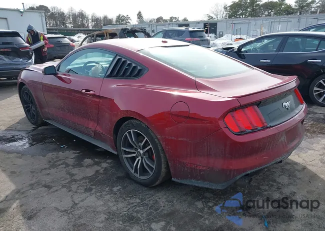 1FA6P8TH4G5301024: 44512247