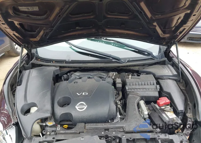 1N4AA5AP9EC482988: 44512250