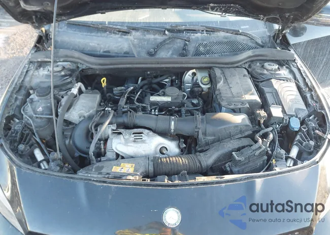 WDDSJ4EB9EN038298: 44512395