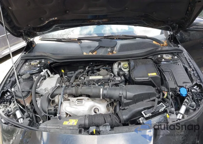 WDDSJ4EB0GN309218: 44512417