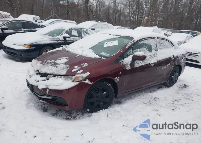 19XFB2F5XFE233712: 44512498