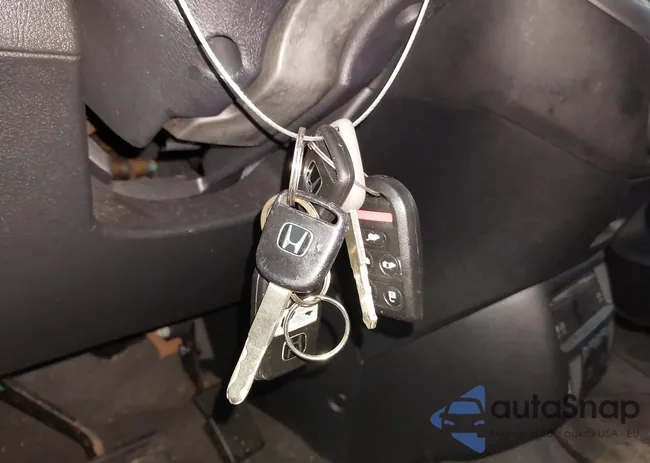 5FNRL38846B115446: 44513653