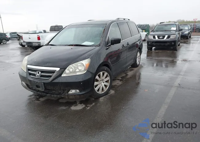 5FNRL38846B115446: 44513653