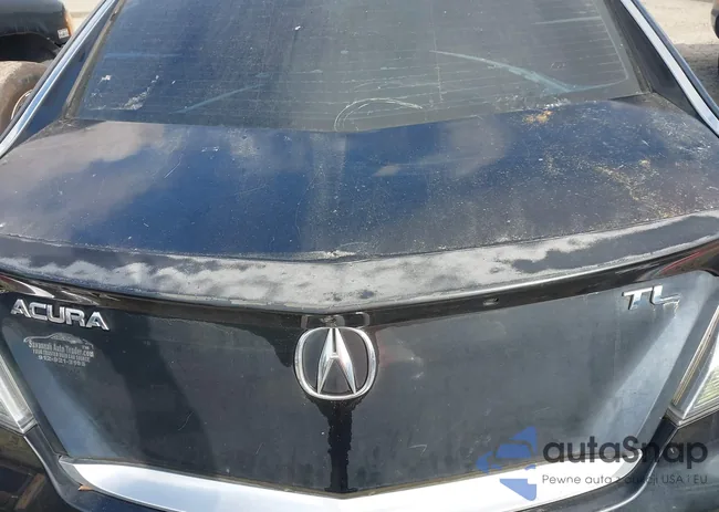 19UUA8F57CA008404: 44513719