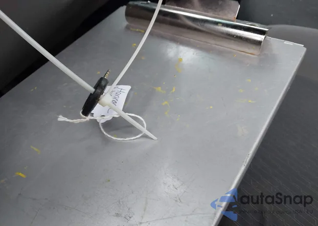 1GCNCPEX9BZ454595: 44513503