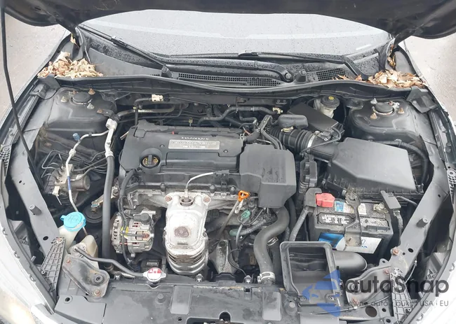 1HGCR2F31DA239252: 44515049