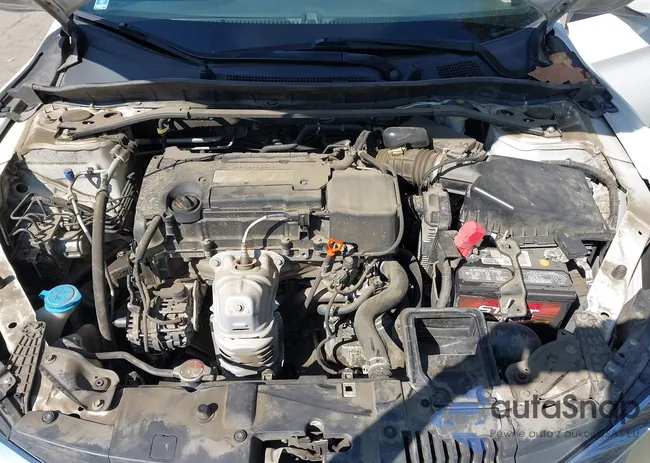 1HGCR2F51GA019566: 44514389