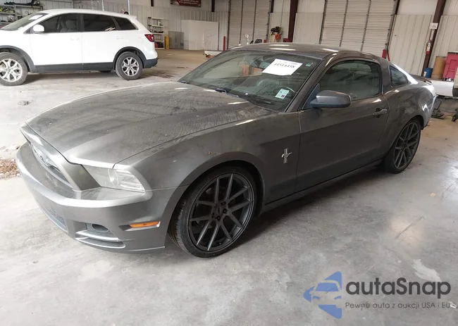 1ZVBP8AM2D5273676: 44514458