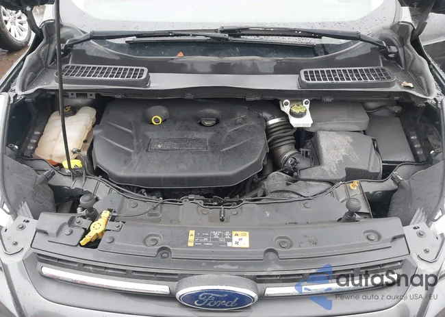 1FMCU9G92FUA06888: 44515657